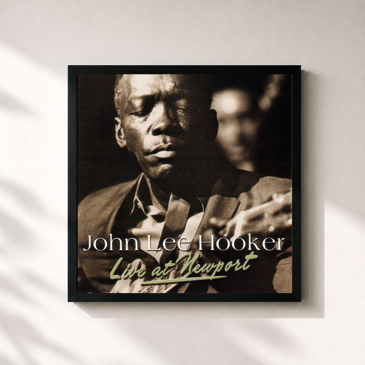John Lee Hooker · Live At Newport