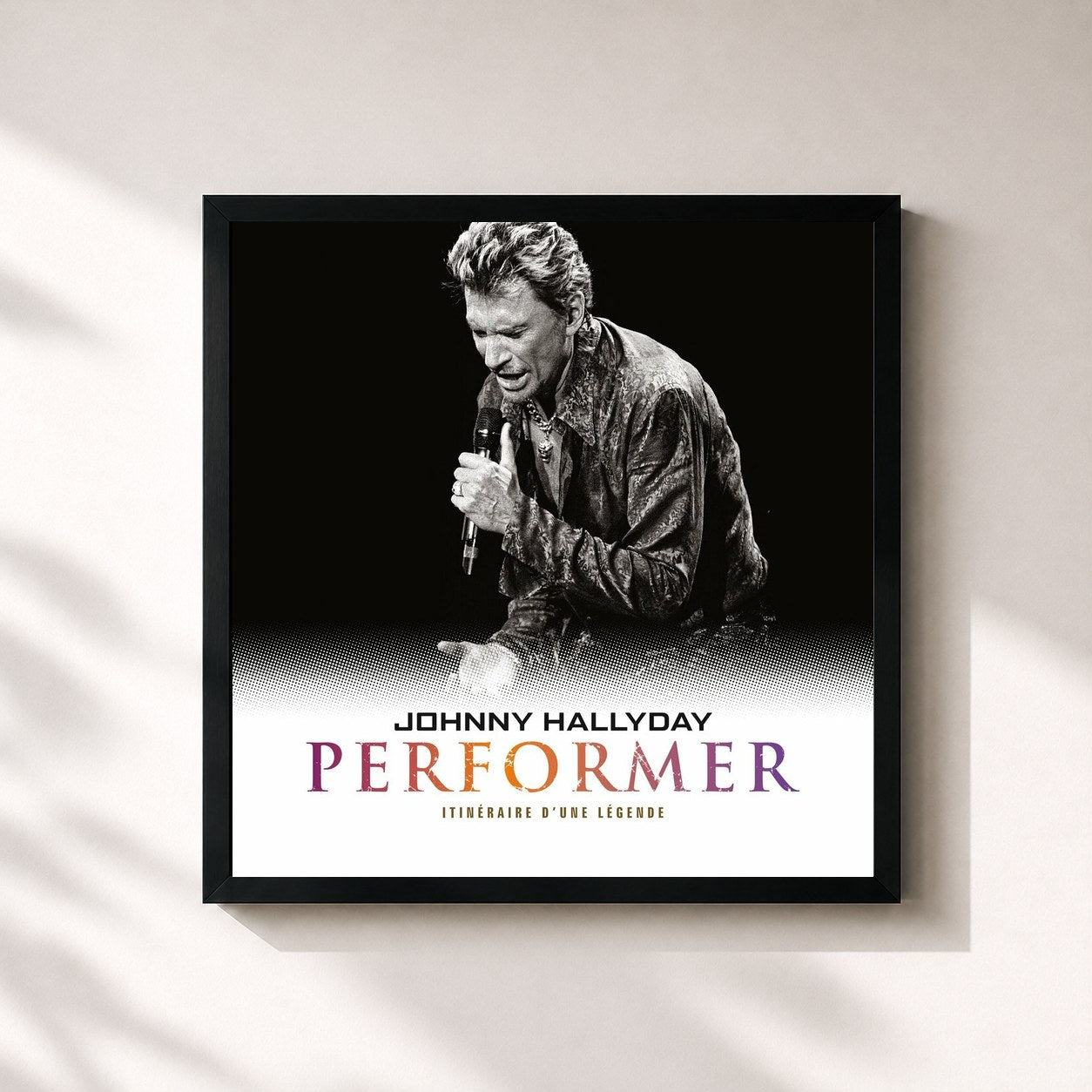 Johnny Hallyday · Performer