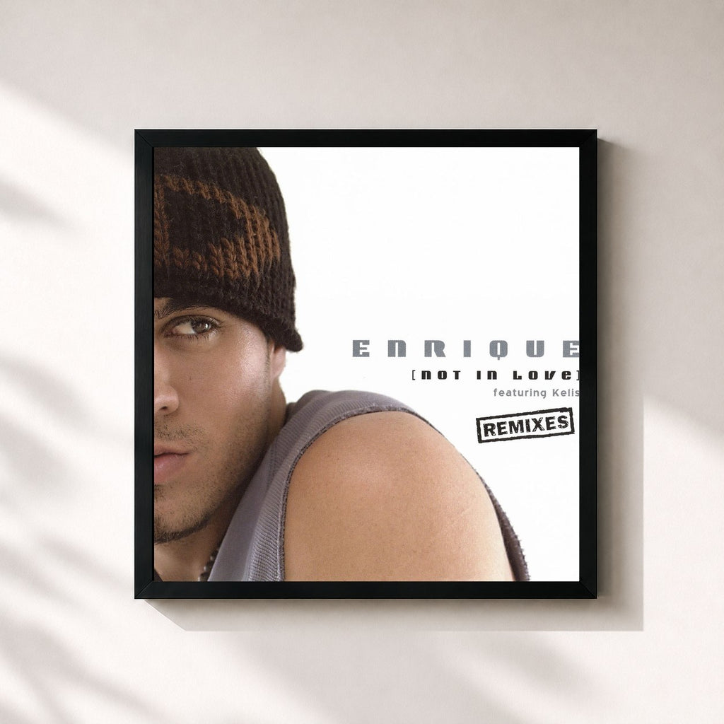 Enrique Iglesias · Not In Love (Remixes)