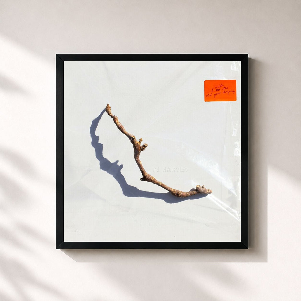 PJ Harvey · I Inside the Old Year Dying