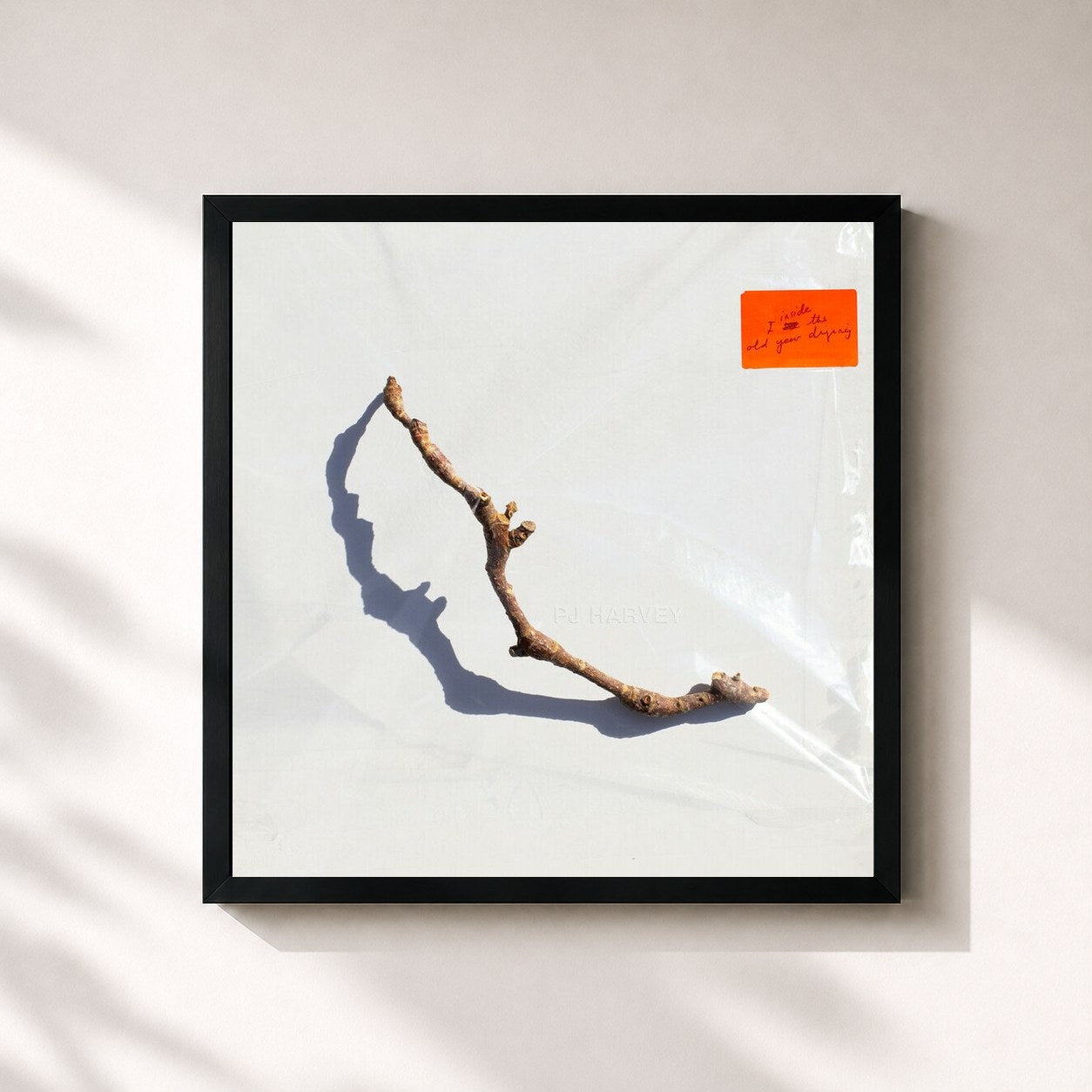 PJ Harvey · I Inside the Old Year Dying