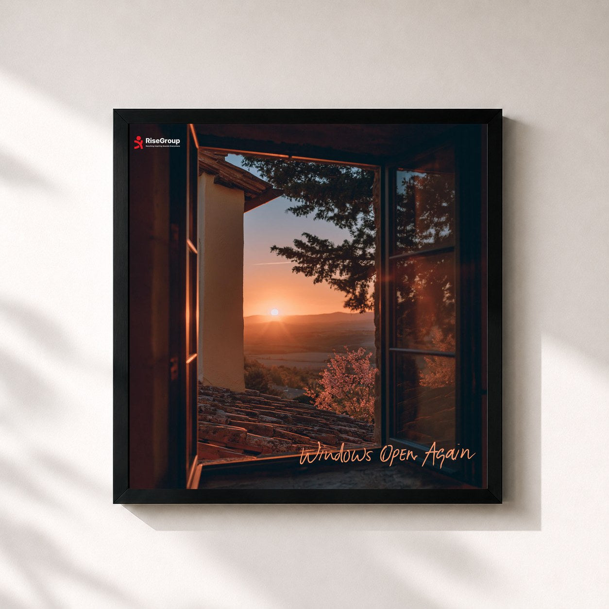 Tropical Rhythms · Windows Open Again