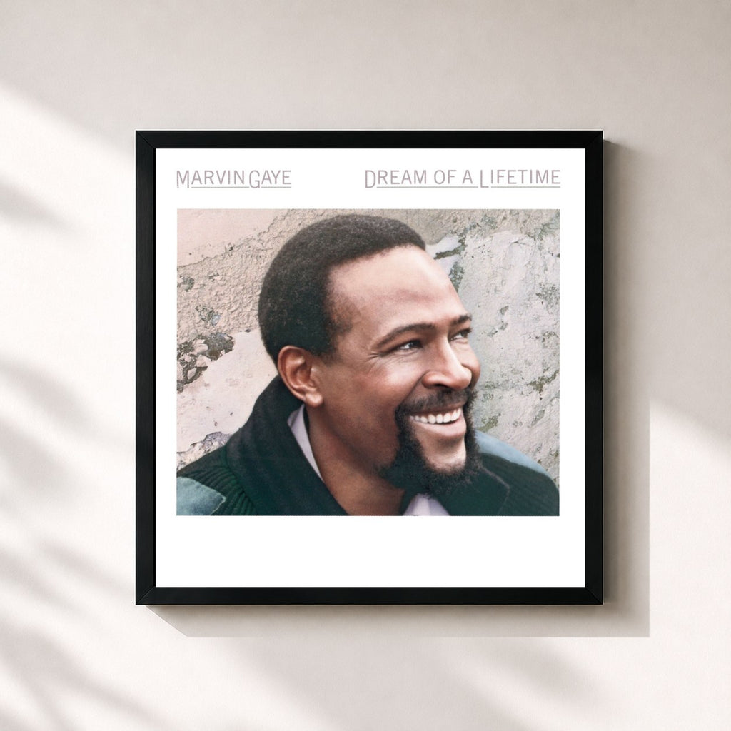 Marvin Gaye · Dream Of A Lifetime