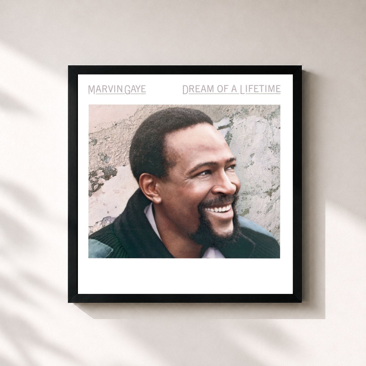Marvin Gaye · Dream Of A Lifetime