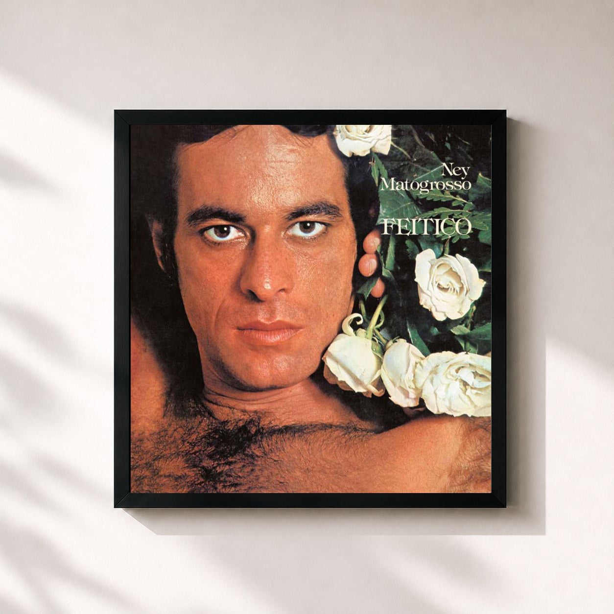 Ney Matogrosso · Feitiço (1978)