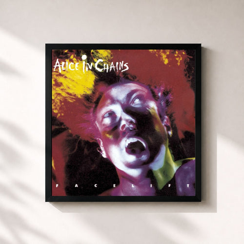 Alice in Chains · Facelift