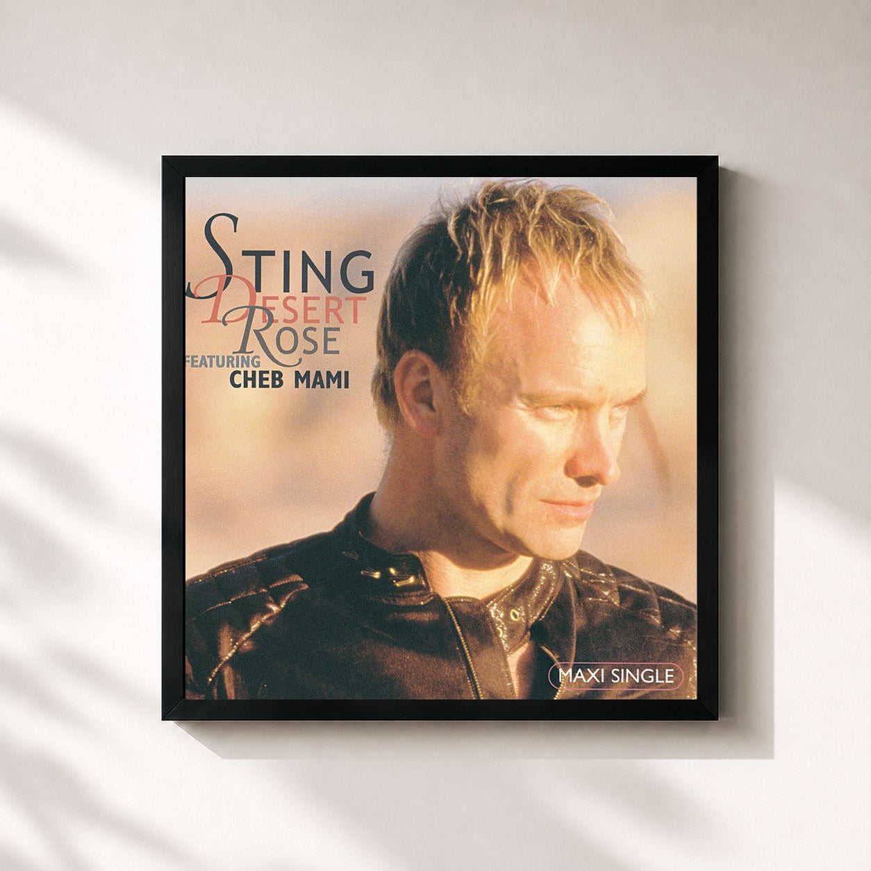 Sting · Desert Rose