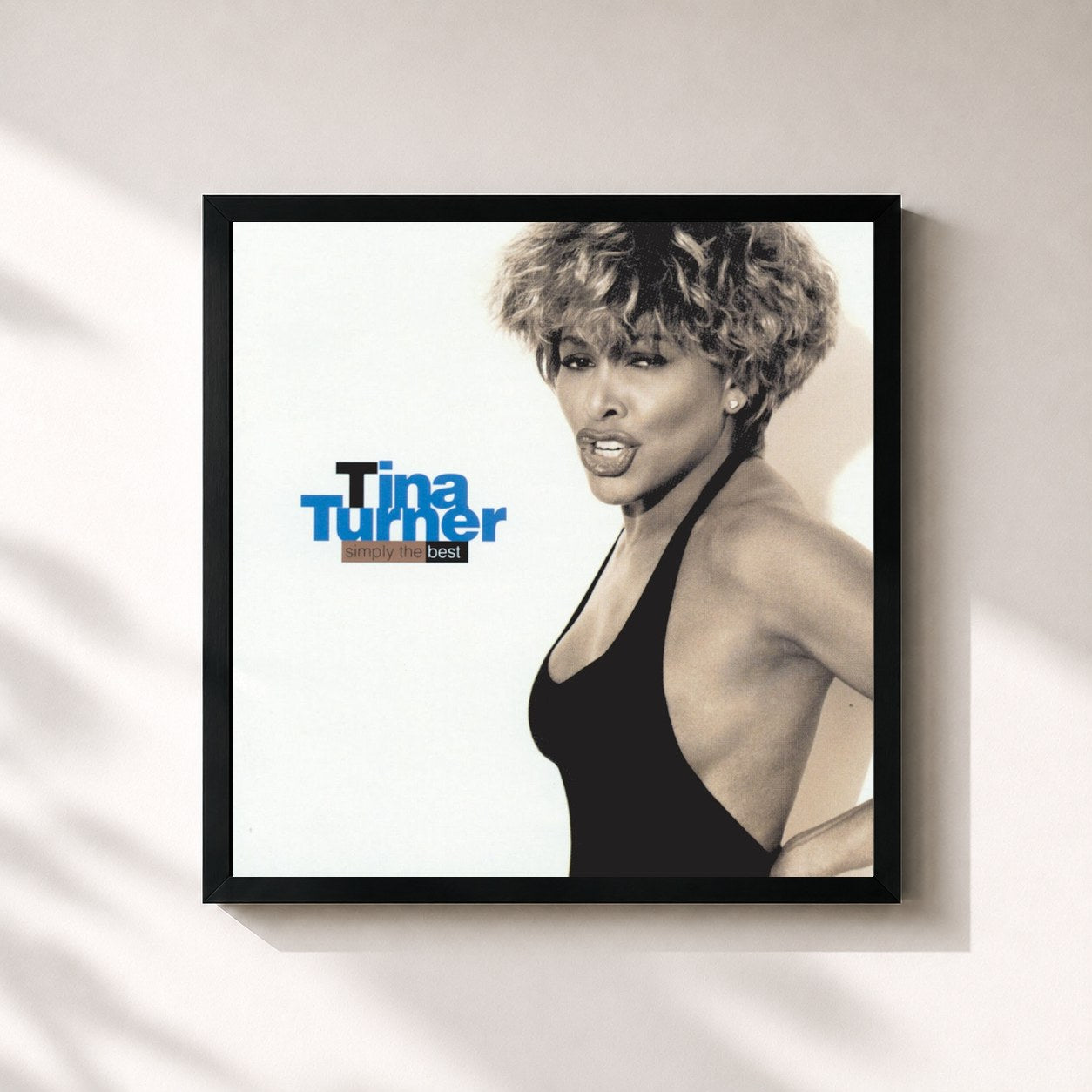 Tina Turner · Simply the Best