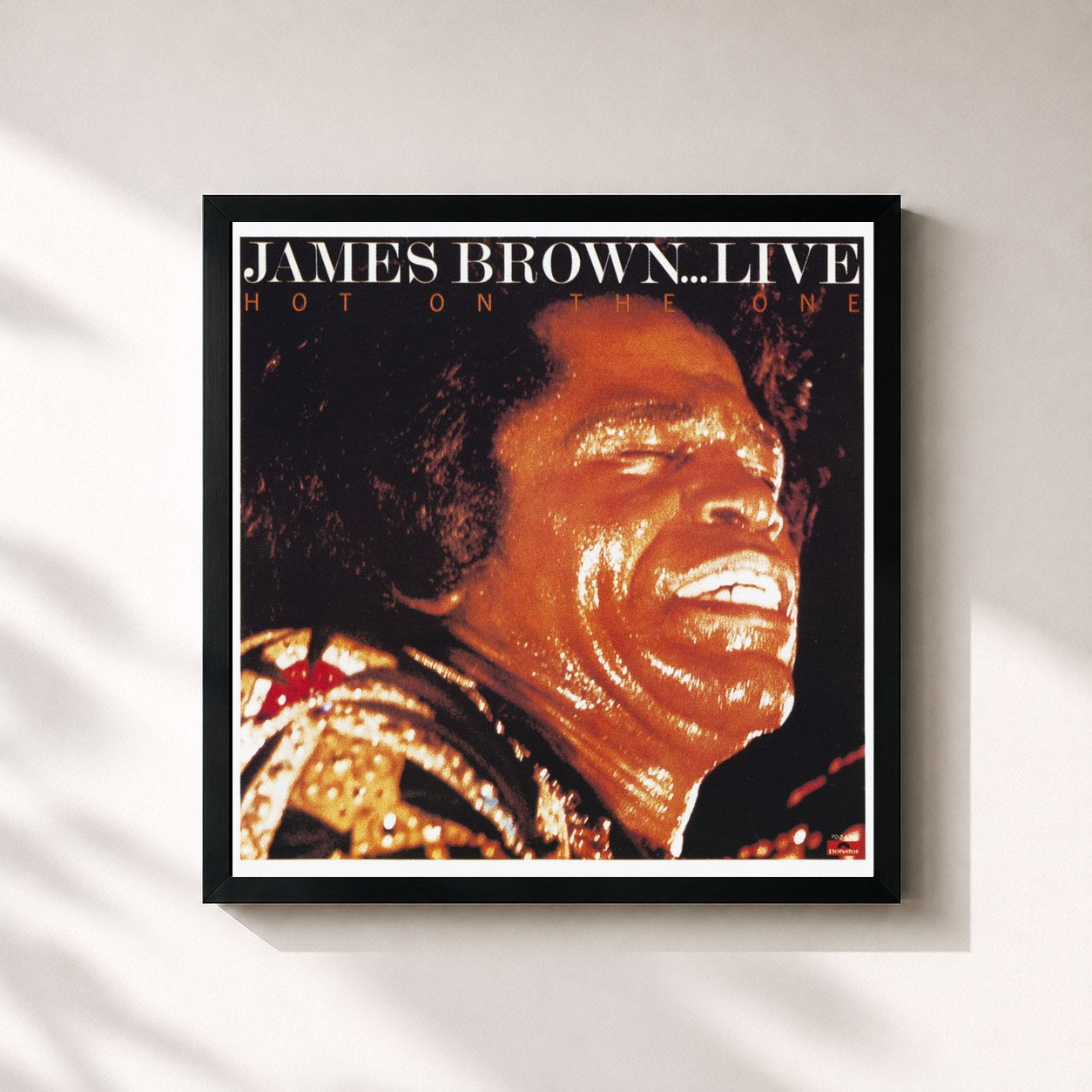 James Brown · Hot On The One (Live)