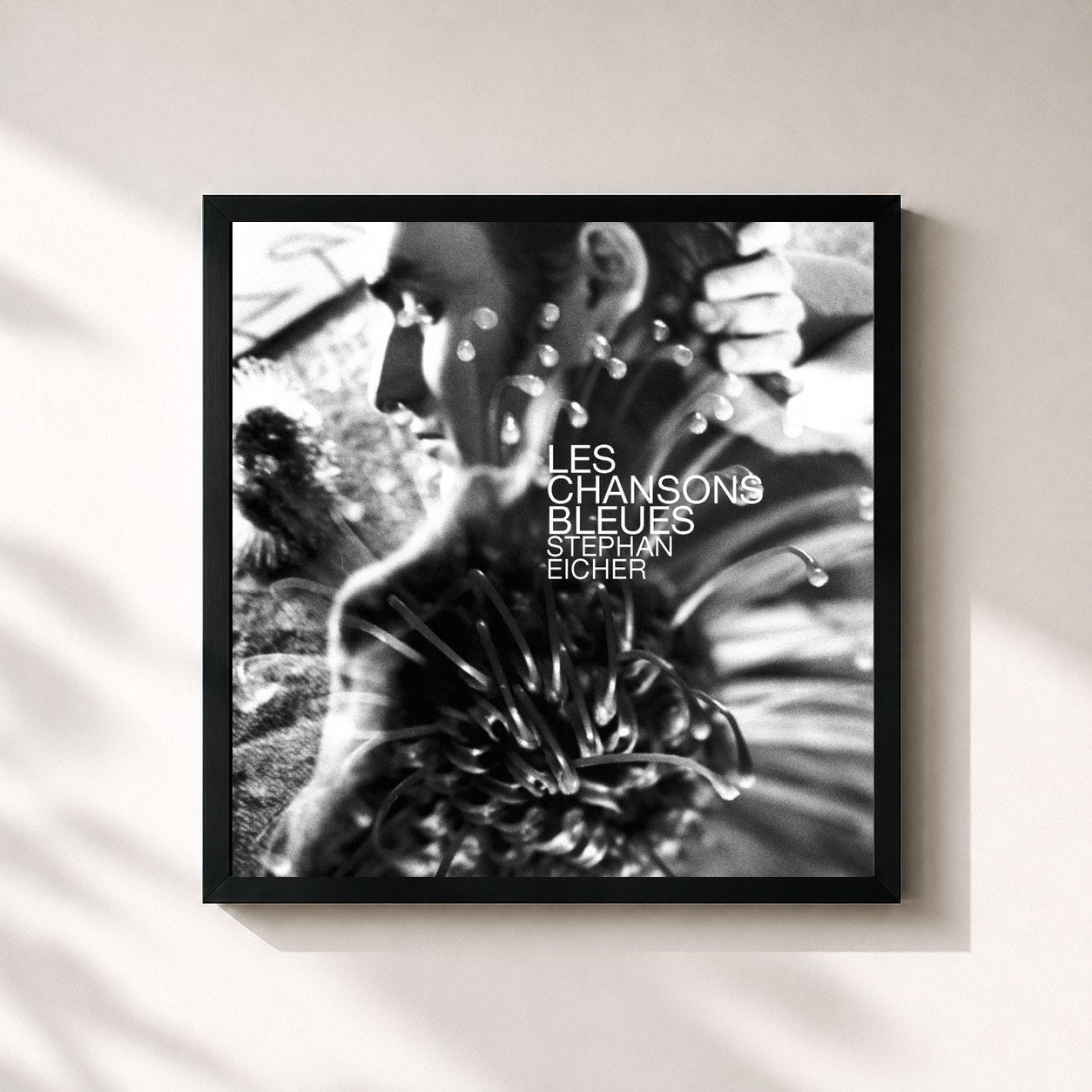 Stephan Eicher – Les Chansons Bleues