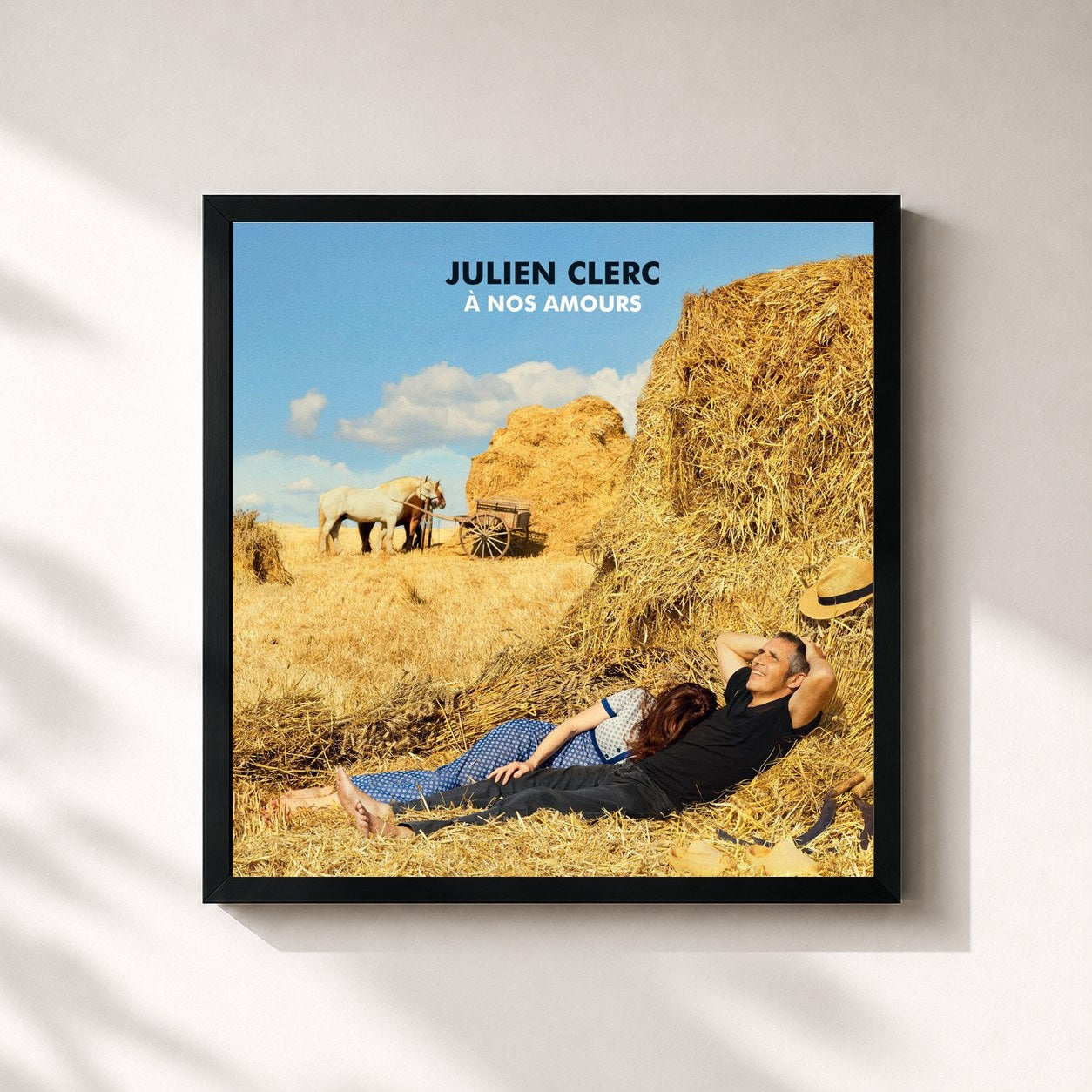 Julien Clerc · À nos amours (Édition Deluxe)