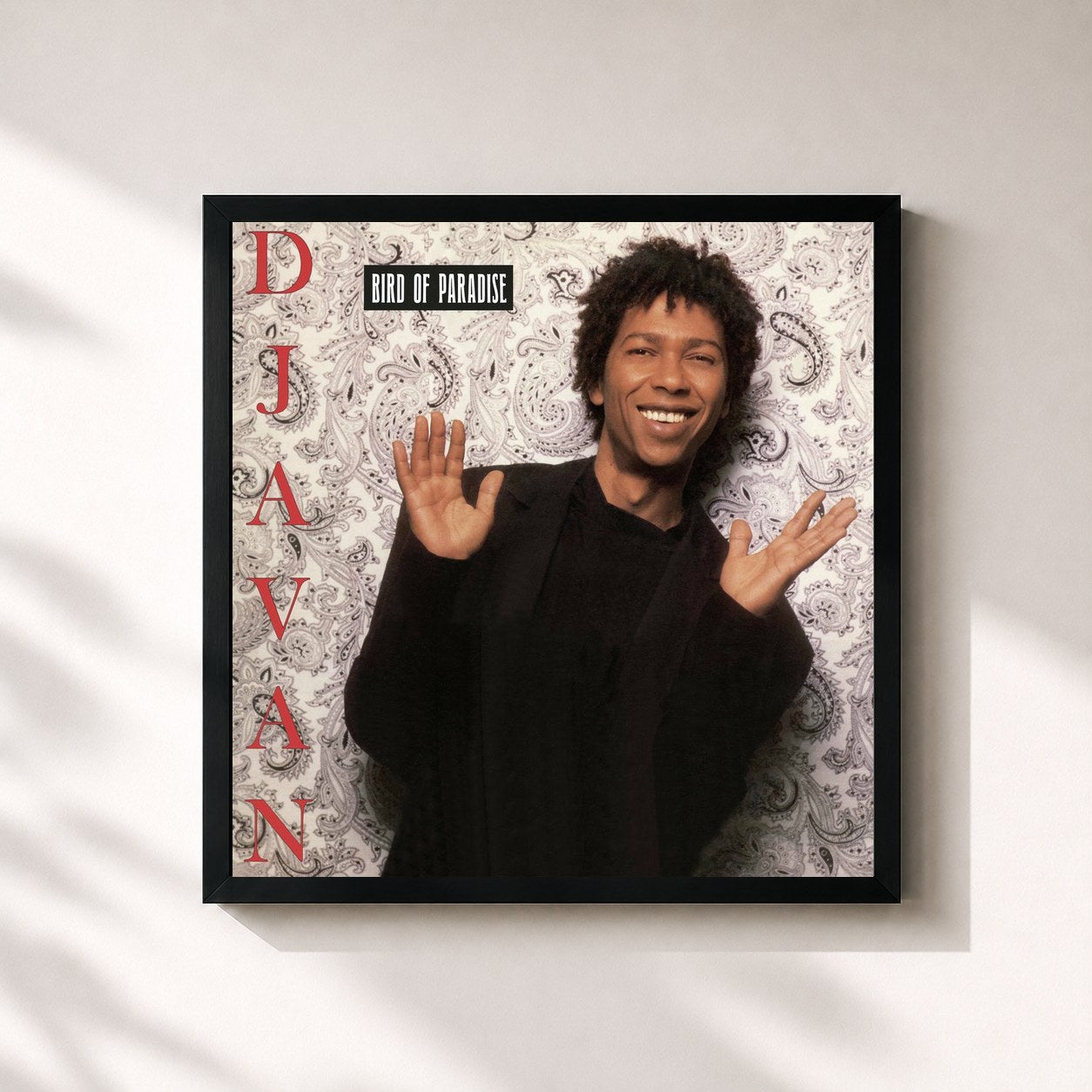 Djavan · Bird of Paradise