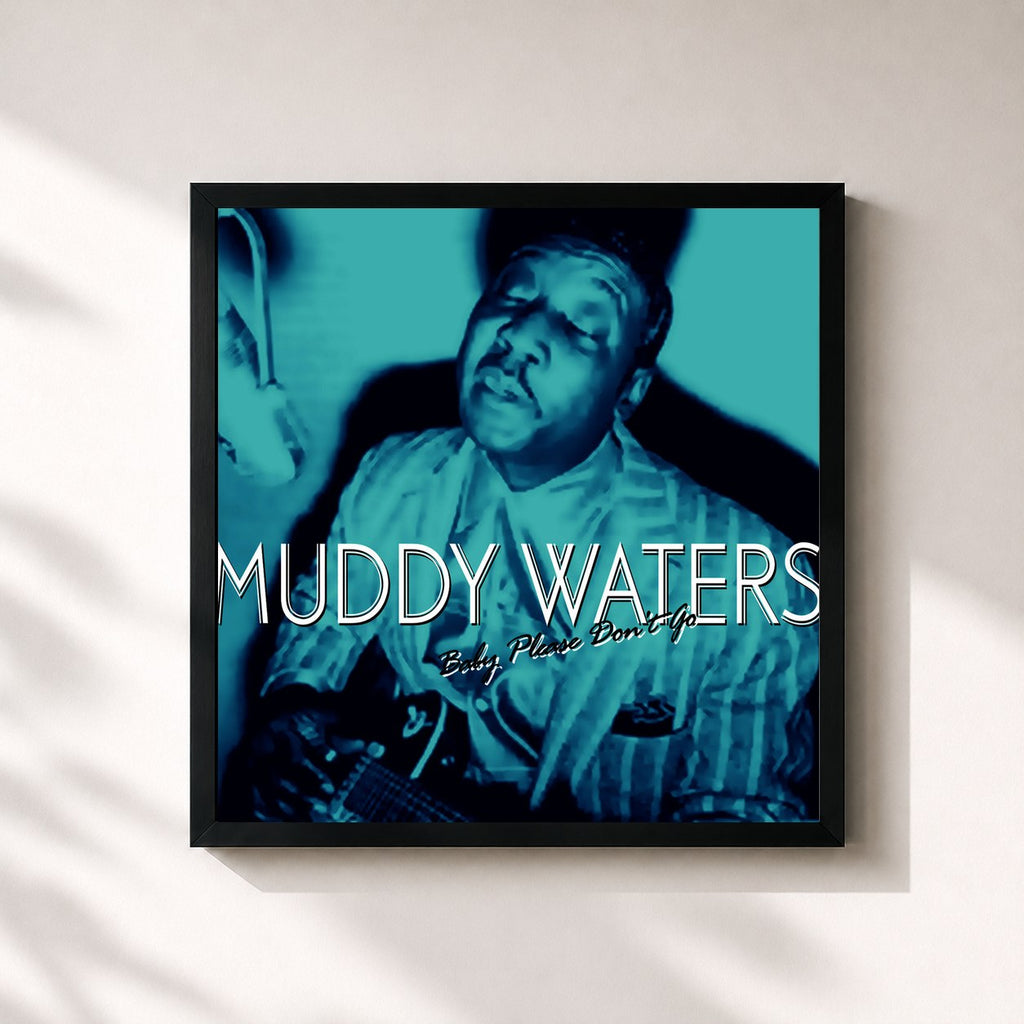 Muddy Waters · Baby Please Don't Go