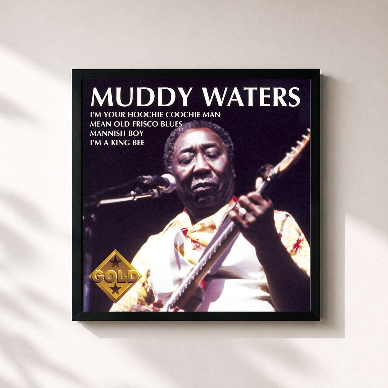Muddy Waters · Muddy Waters