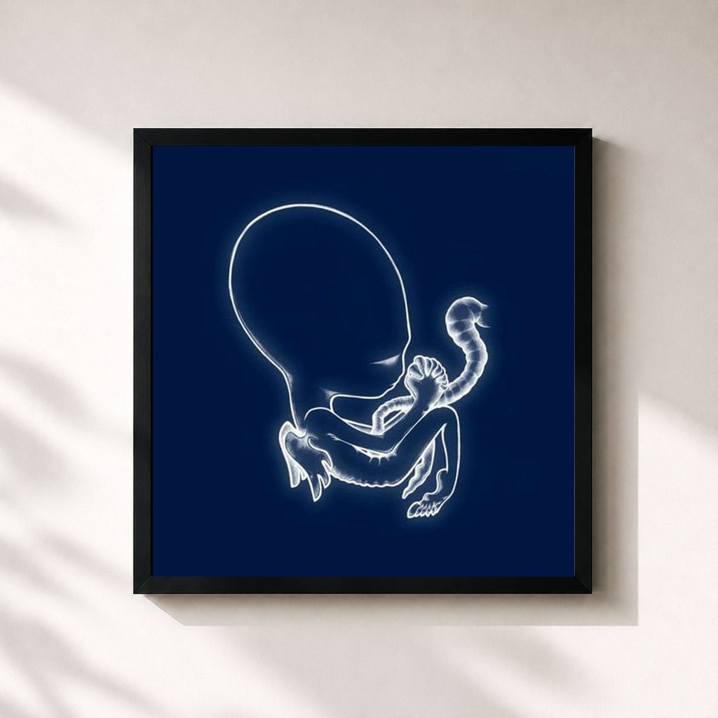Sigur Rós · Ágætis byrjun