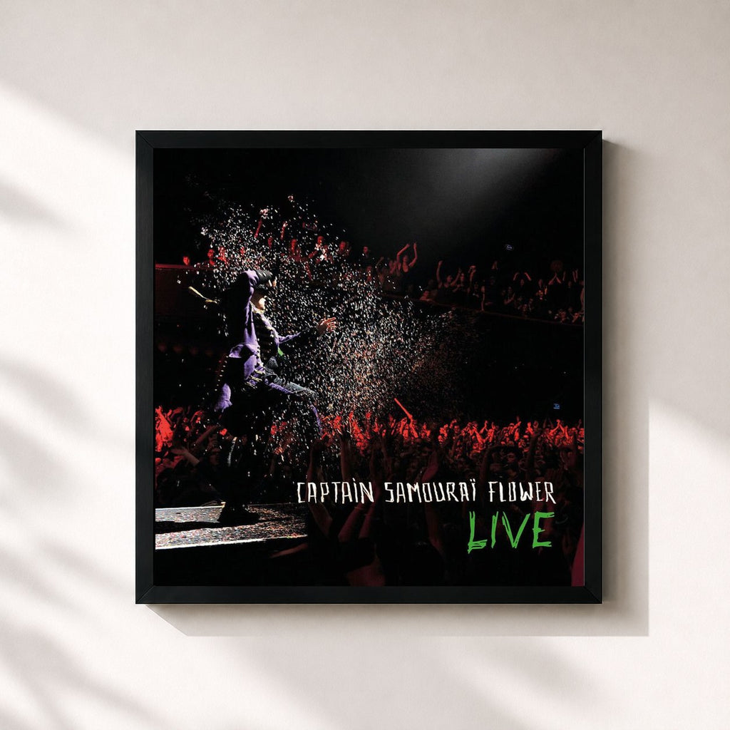 Pascal Obispo – Captain Samouraï Flower (Live)