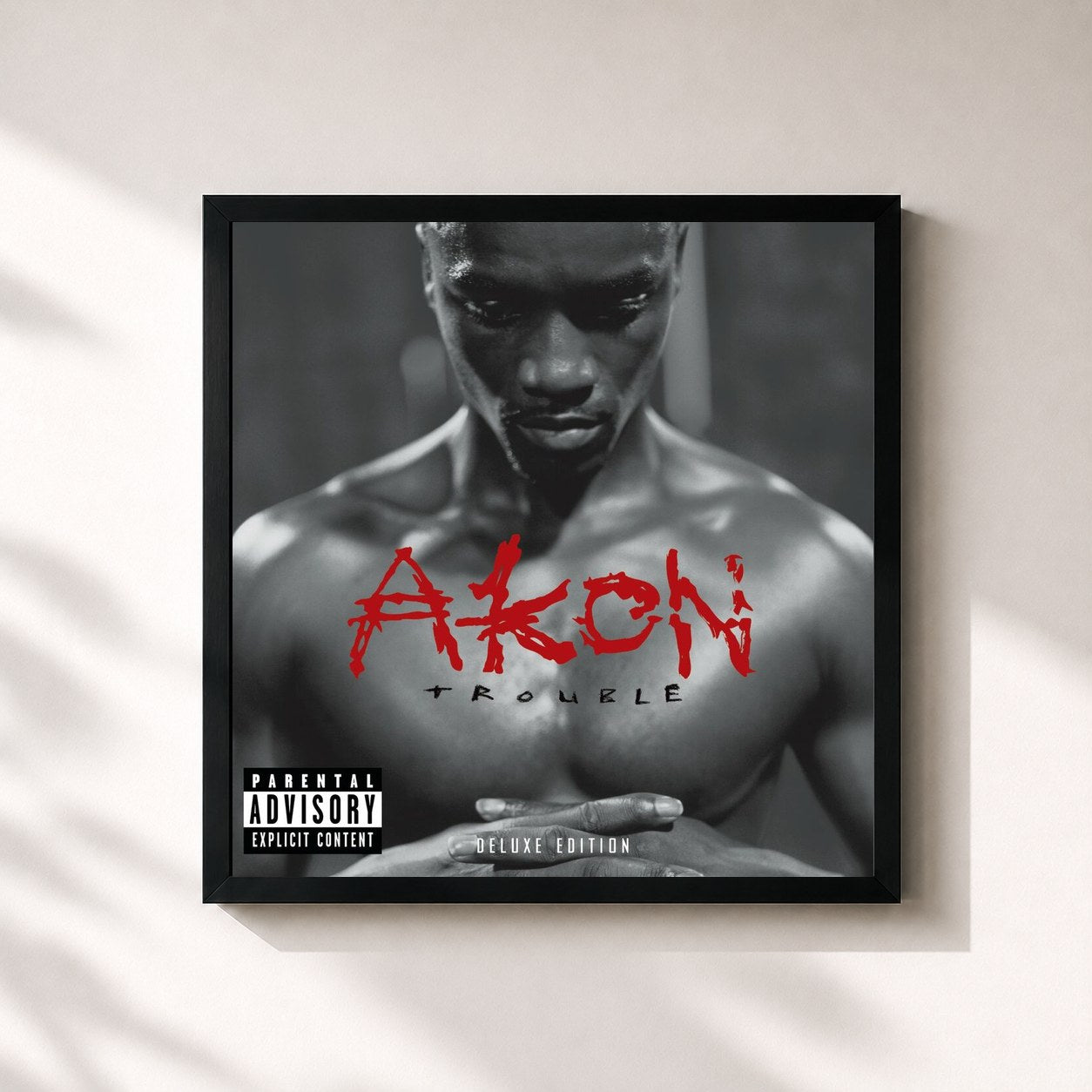 Akon · Trouble Deluxe Edition