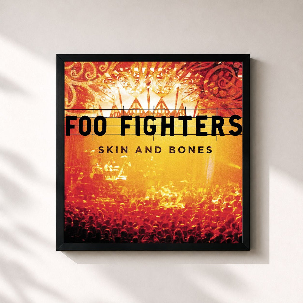 Foo Fighters · Skin And Bones (Live)