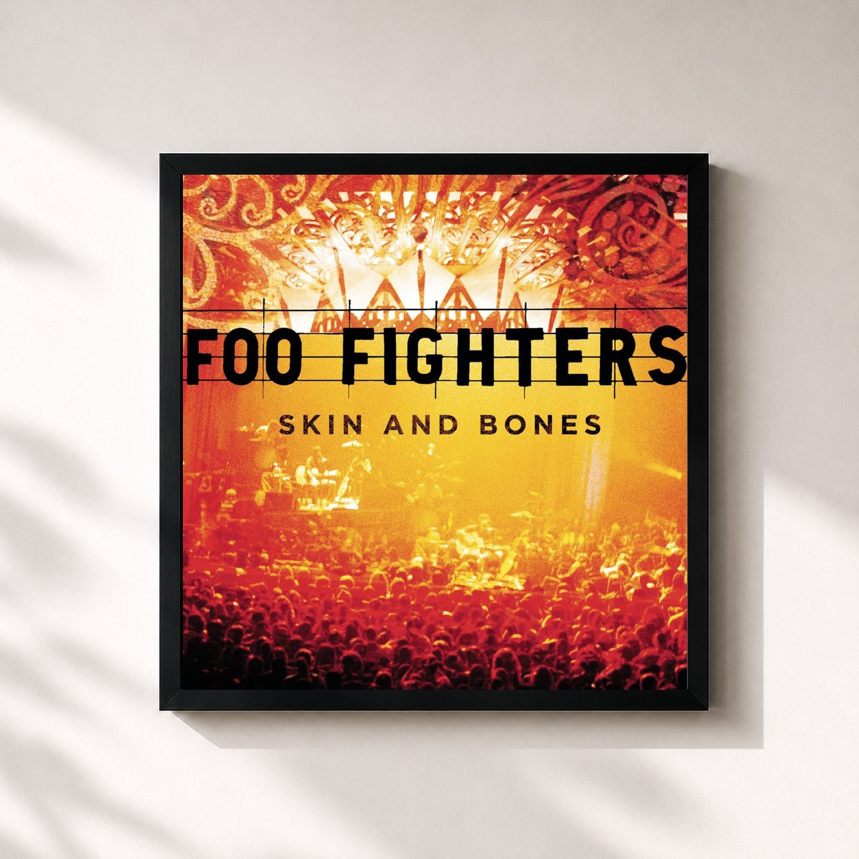 Foo Fighters · Skin And Bones (Live)