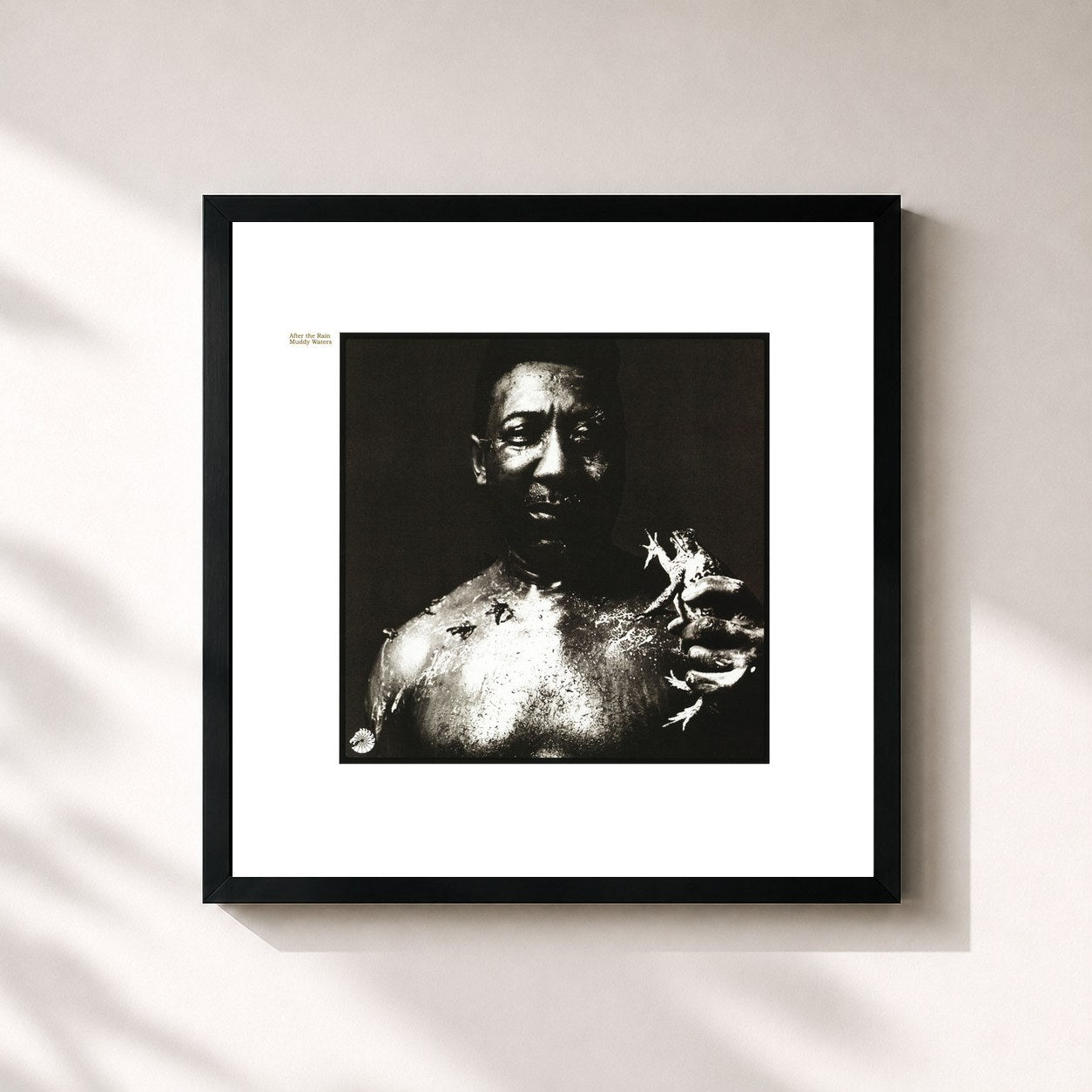 Muddy Waters · After The Rain