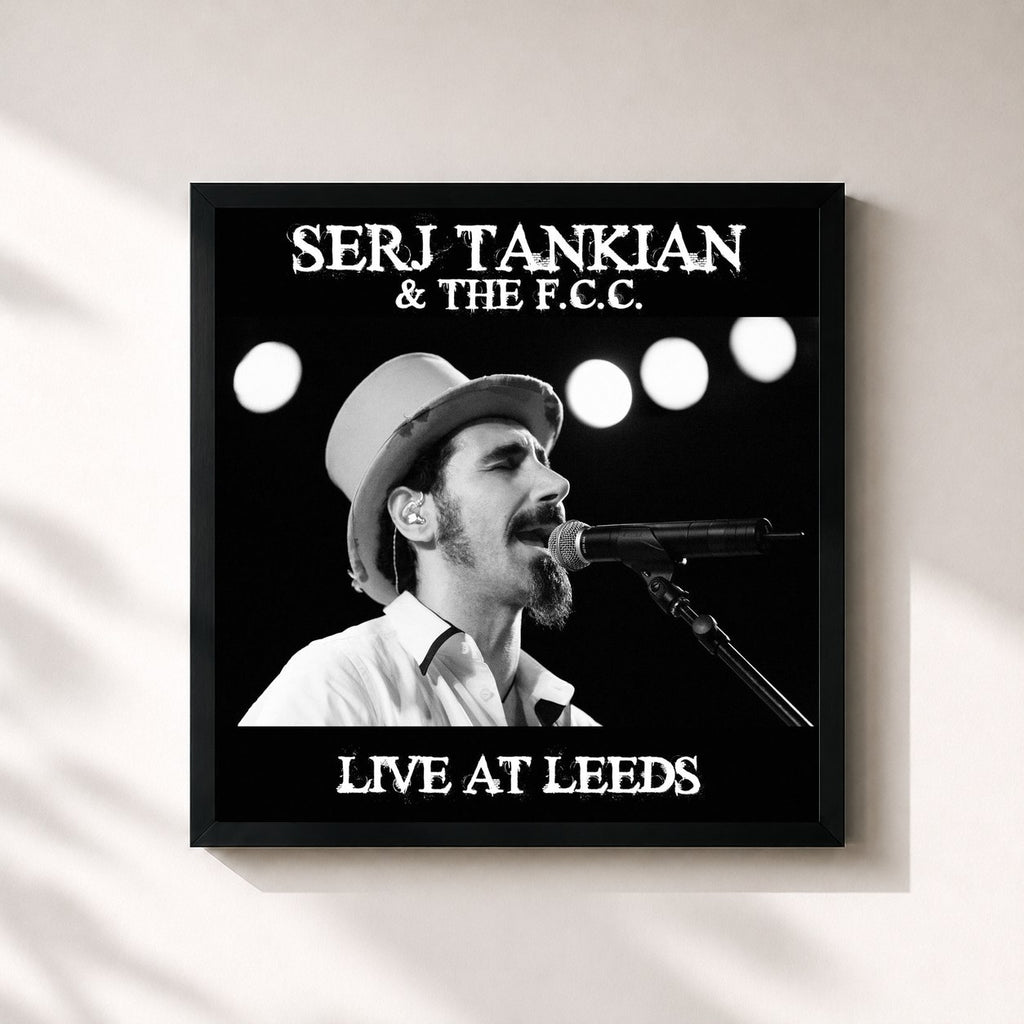Serj Tankian · Live At Leeds