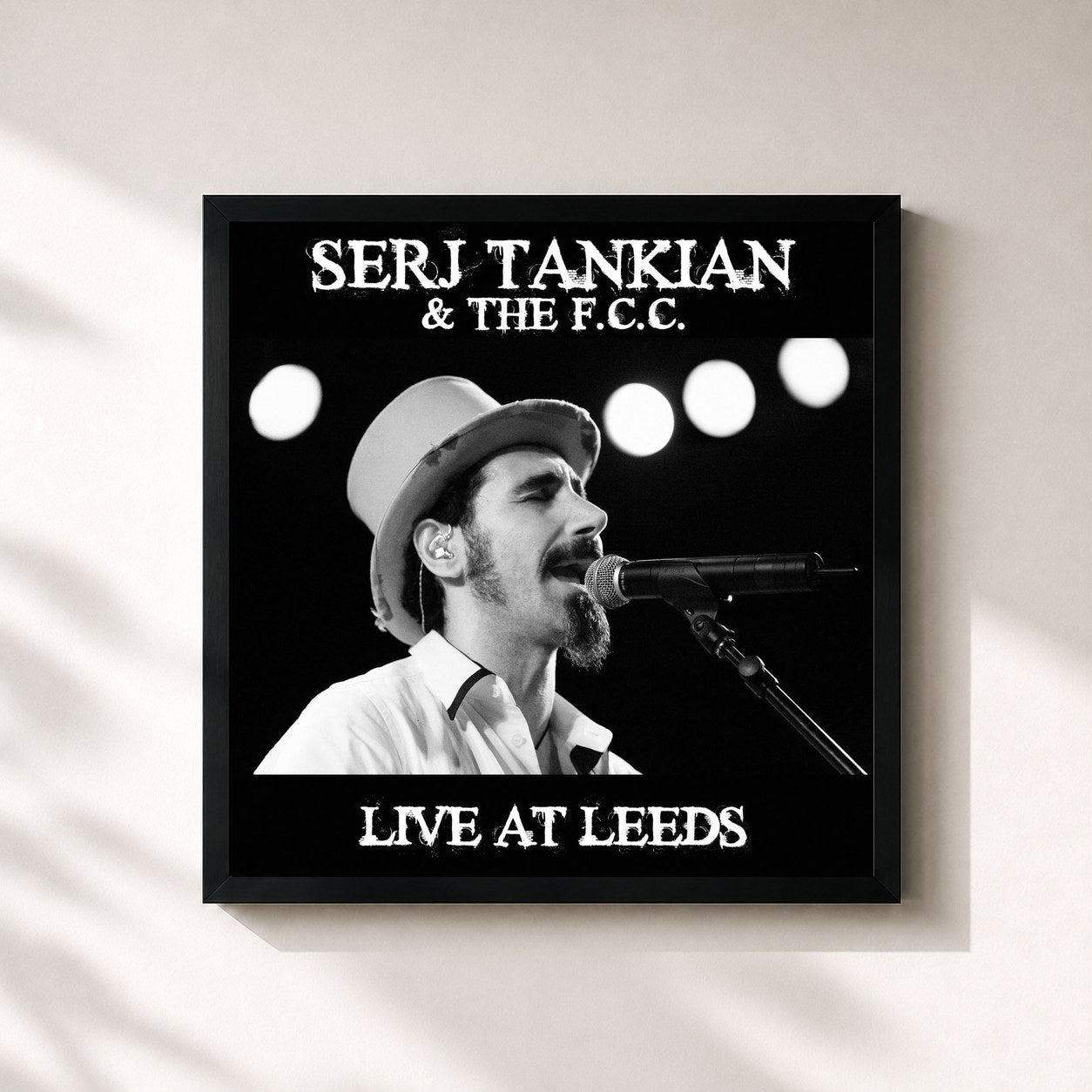 Serj Tankian · Live At Leeds
