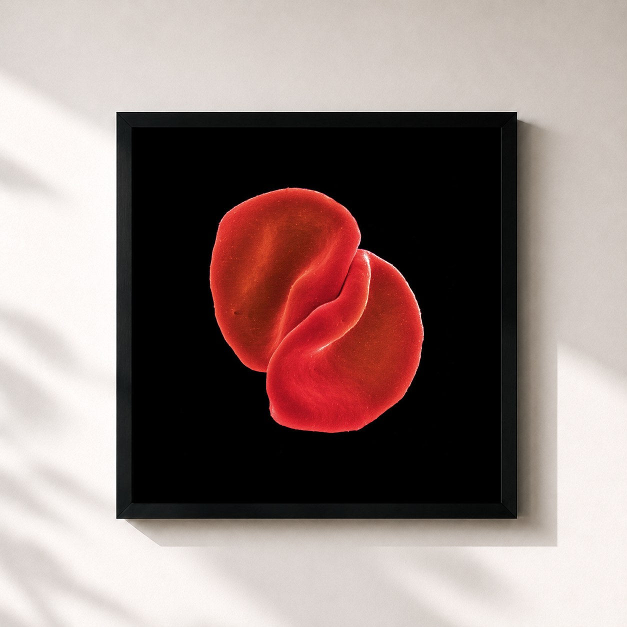 Peter Gabriel · Scratch My Back (Special Edition)