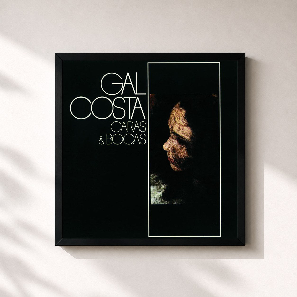 Gal Costa · Caras E Bocas