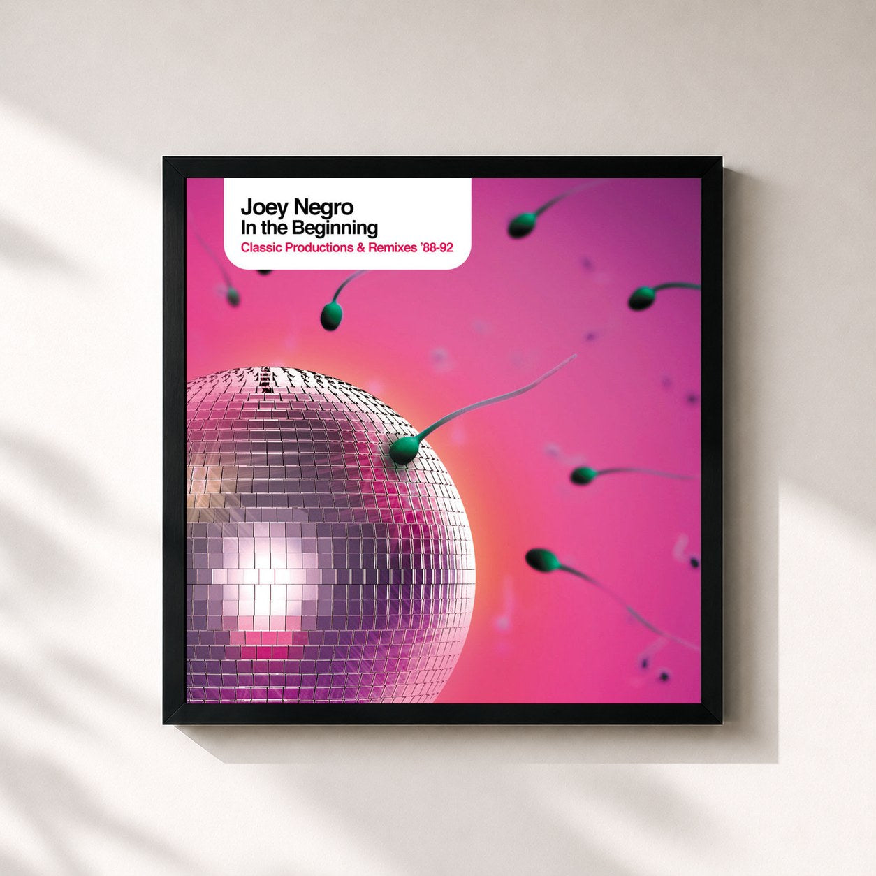 Joey Negro · Joey Negro presents in the Beginning
