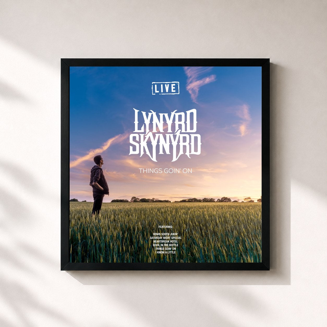 Lynyrd Skynyrd · Things Goin' On