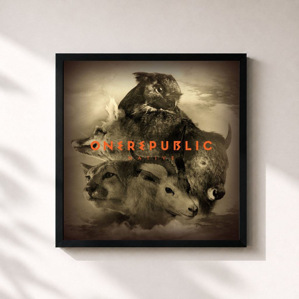 OneRepublic · Native