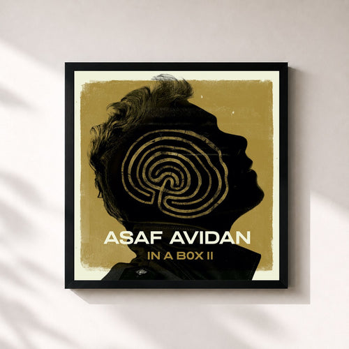 Asaf Avidan · In a Box II: Acoustic Recordings — Framed art print