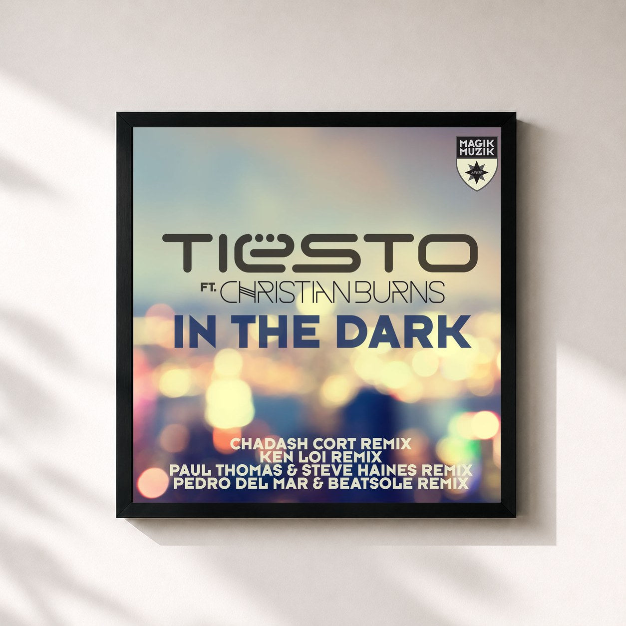 Tiësto · In the Dark (Remixes)
