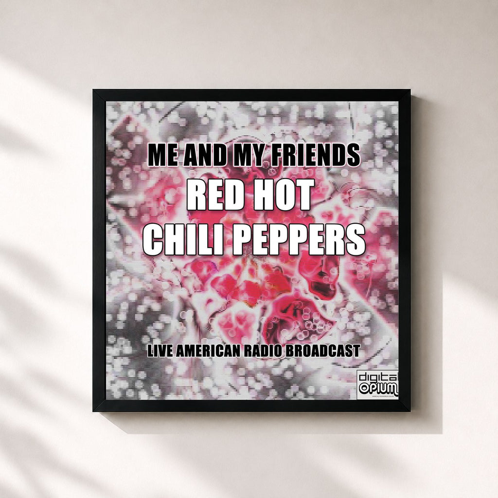 Red Hot Chili Peppers · Me and My Friends (Live)