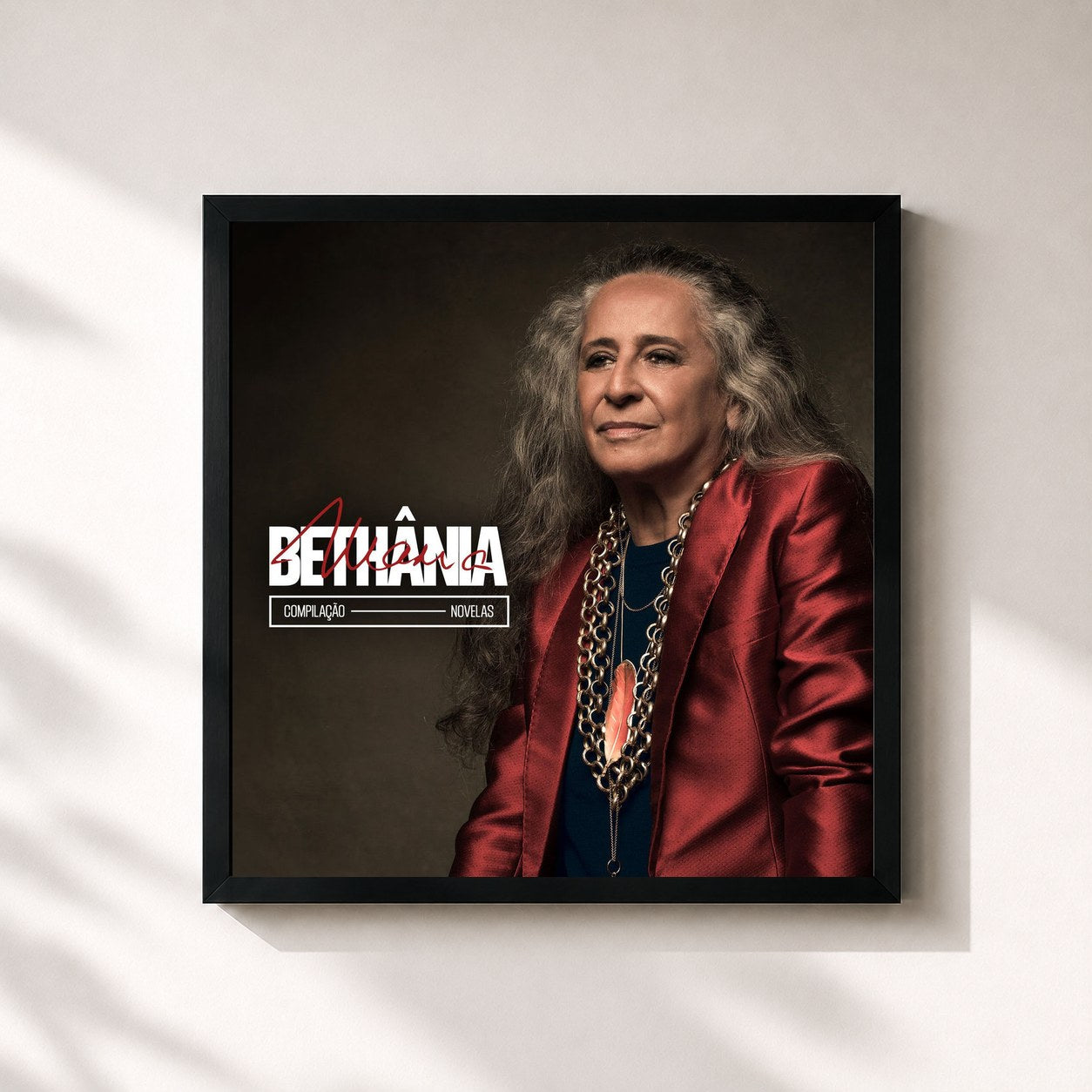 Maria Bethânia · Novelas