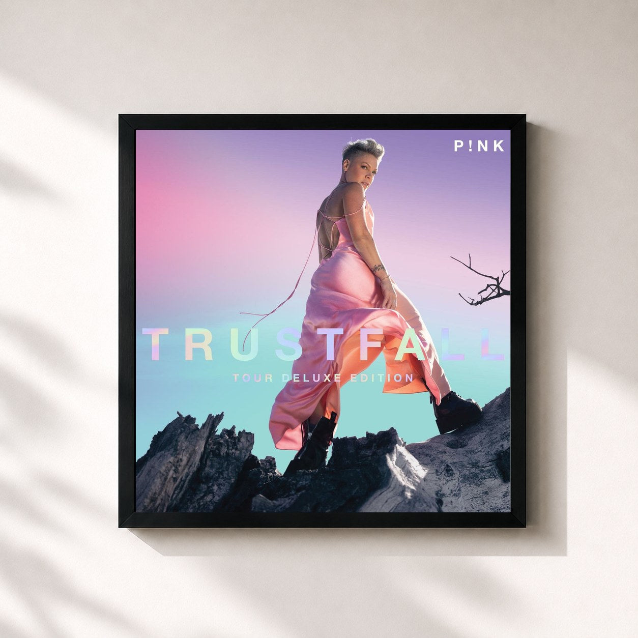 P!nk · TRUSTFALL (Tour Deluxe Edition)