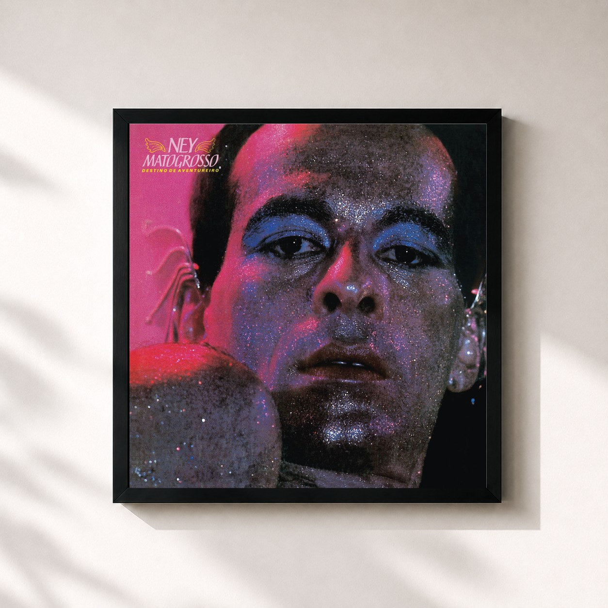 Ney Matogrosso · Destino De Aventureiro (1984)