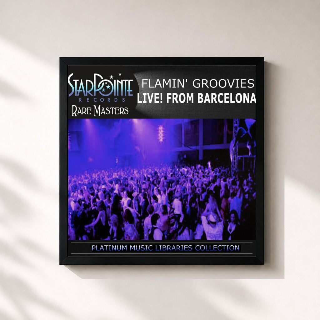 Flamin' Groovies – Live from Barcelona