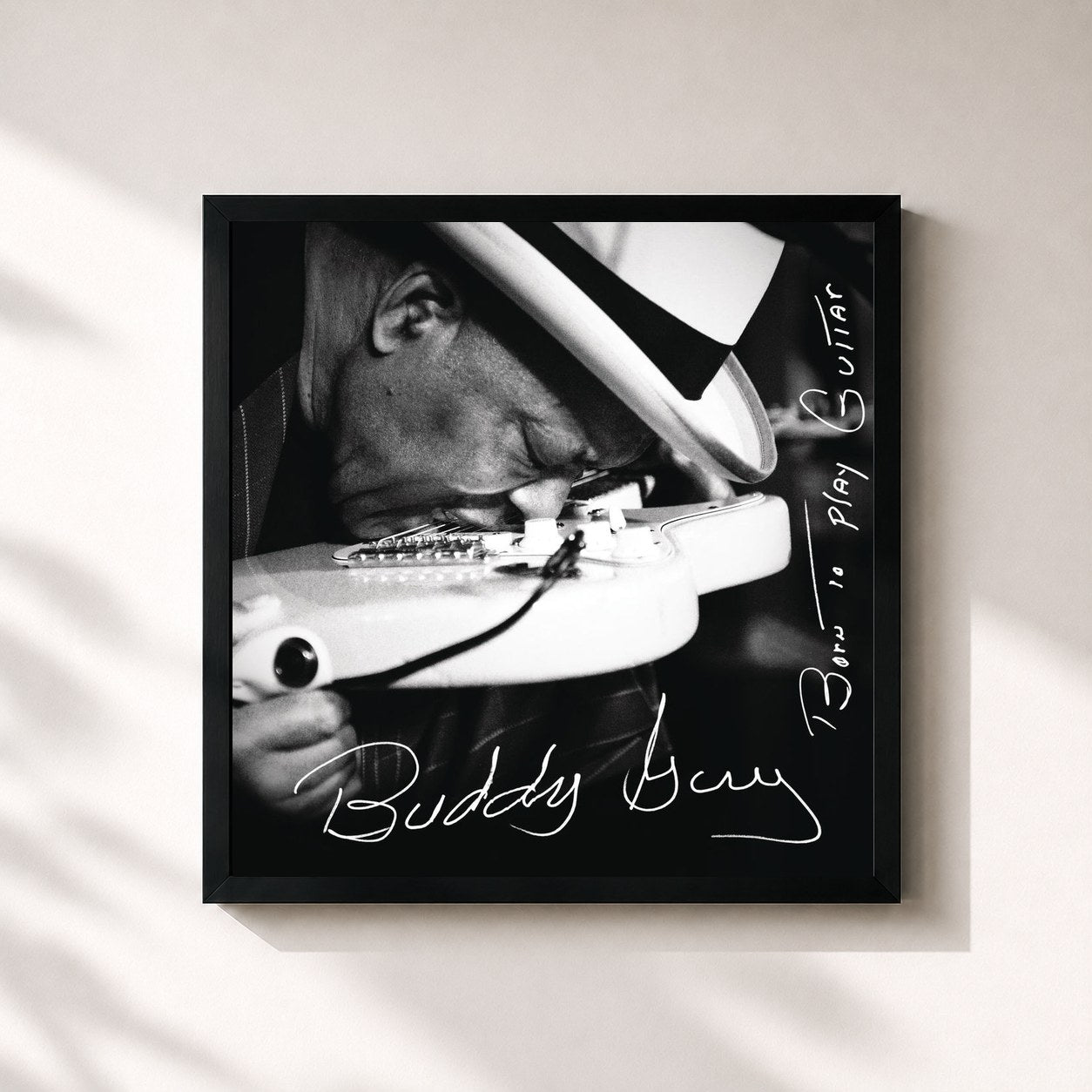 Buddy Guy · Born To Play Guitar
