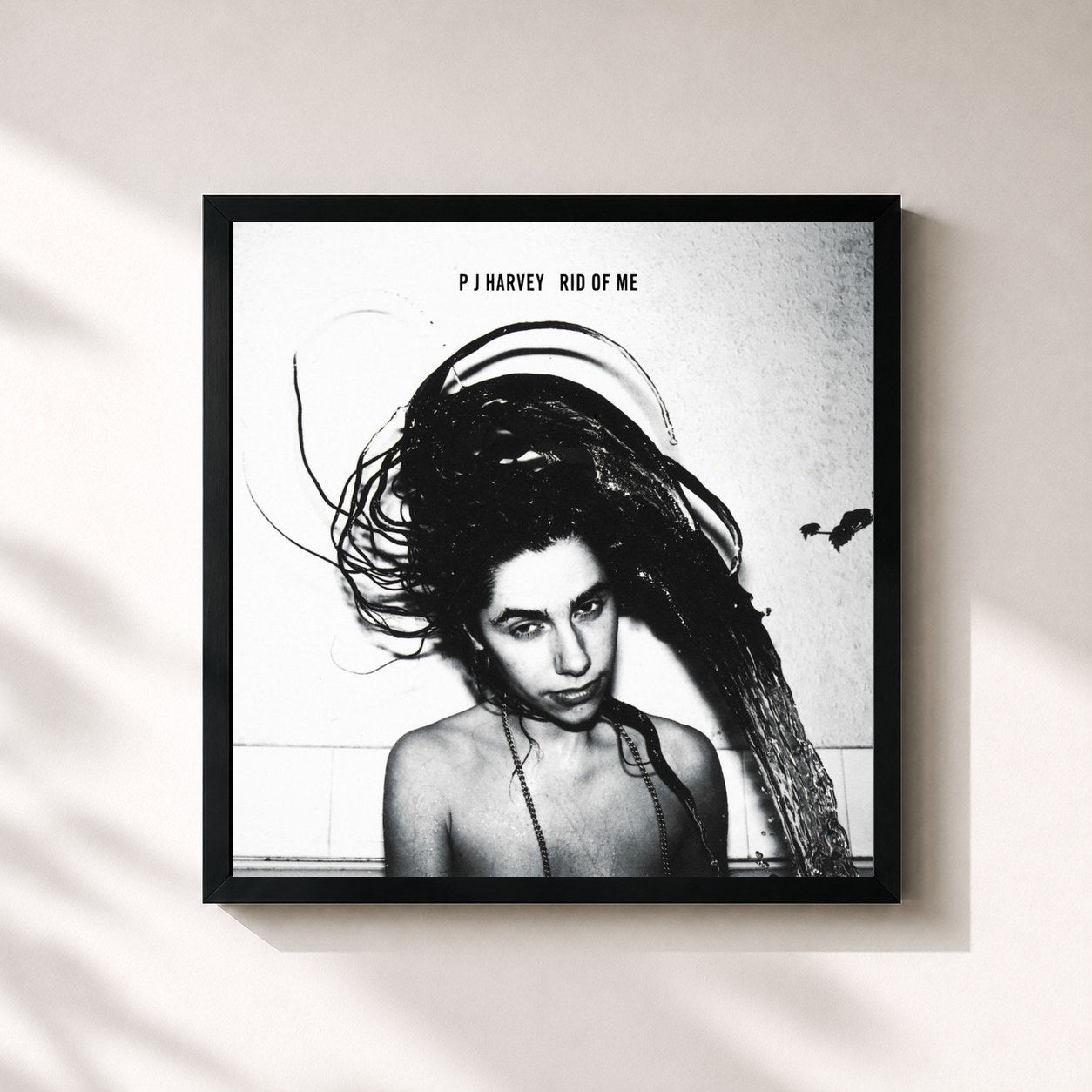 PJ Harvey · Rid Of Me