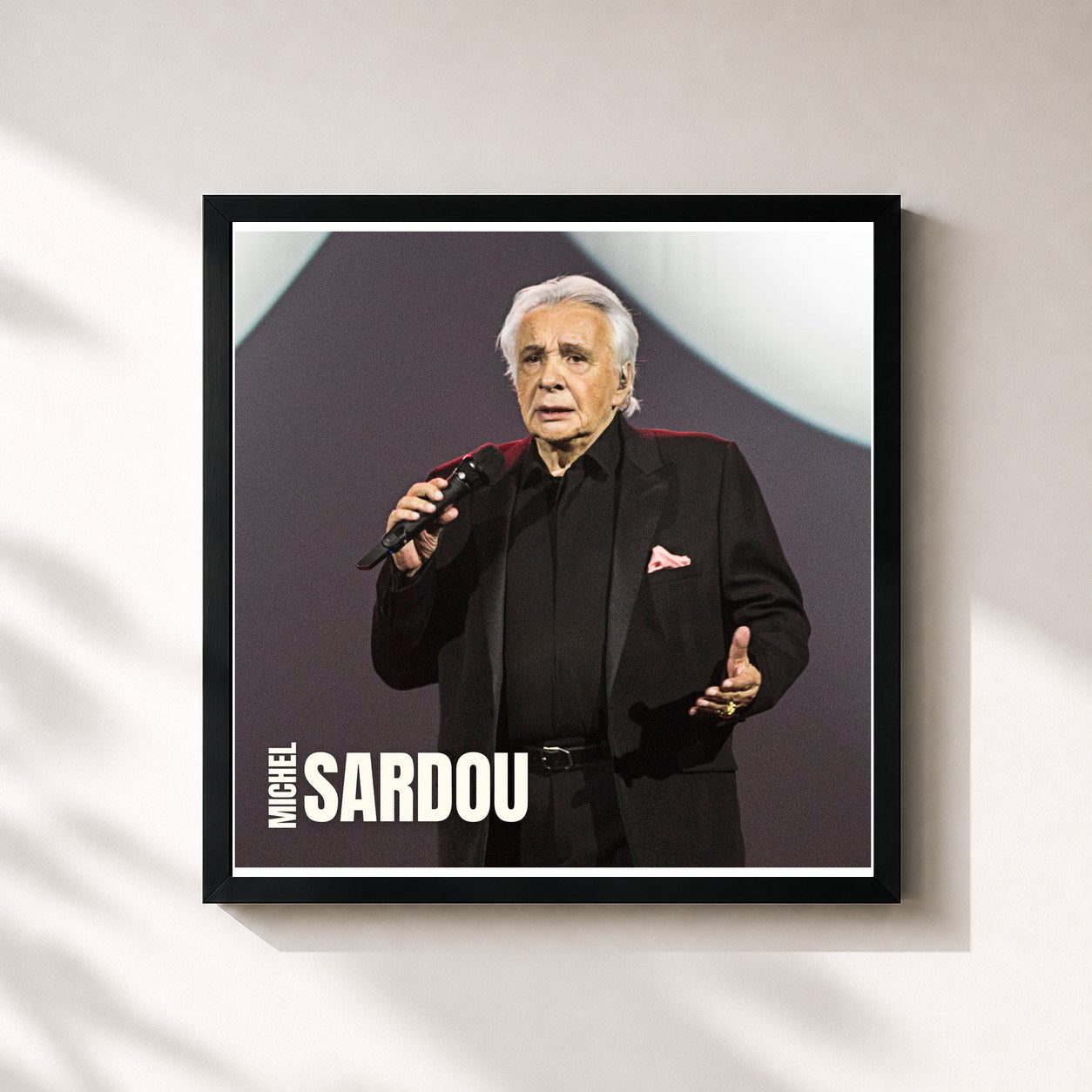 Michel Sardou · Les chansons du concert