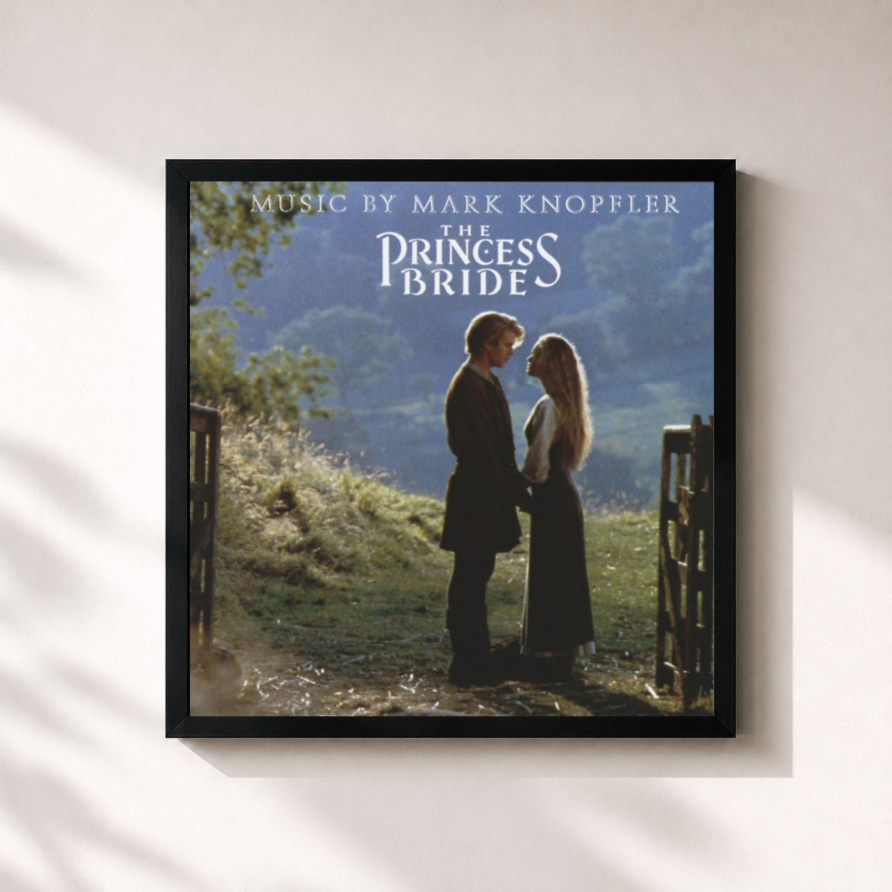 Mark Knopfler – The Princess Bride