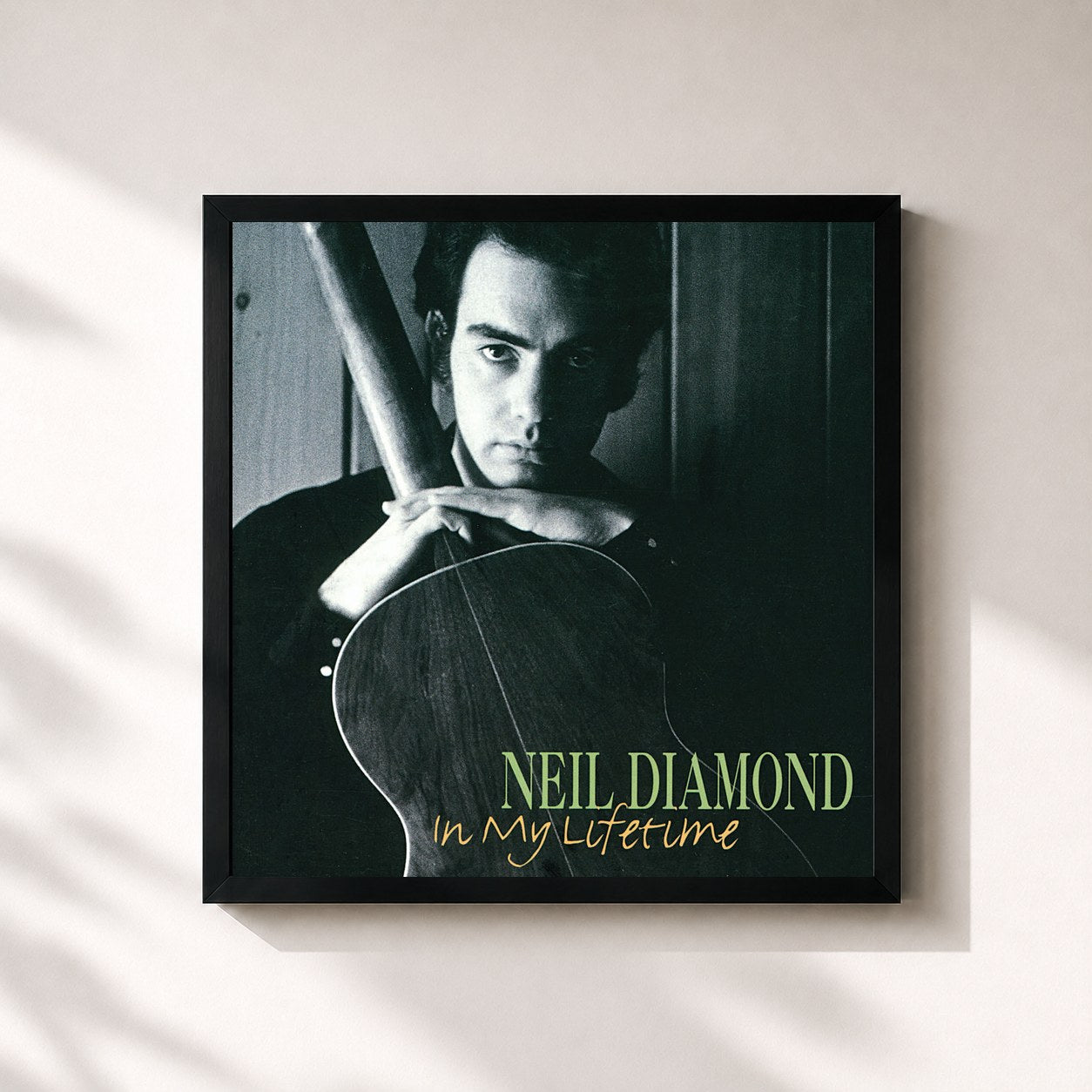 Neil Diamond · In My Lifetime