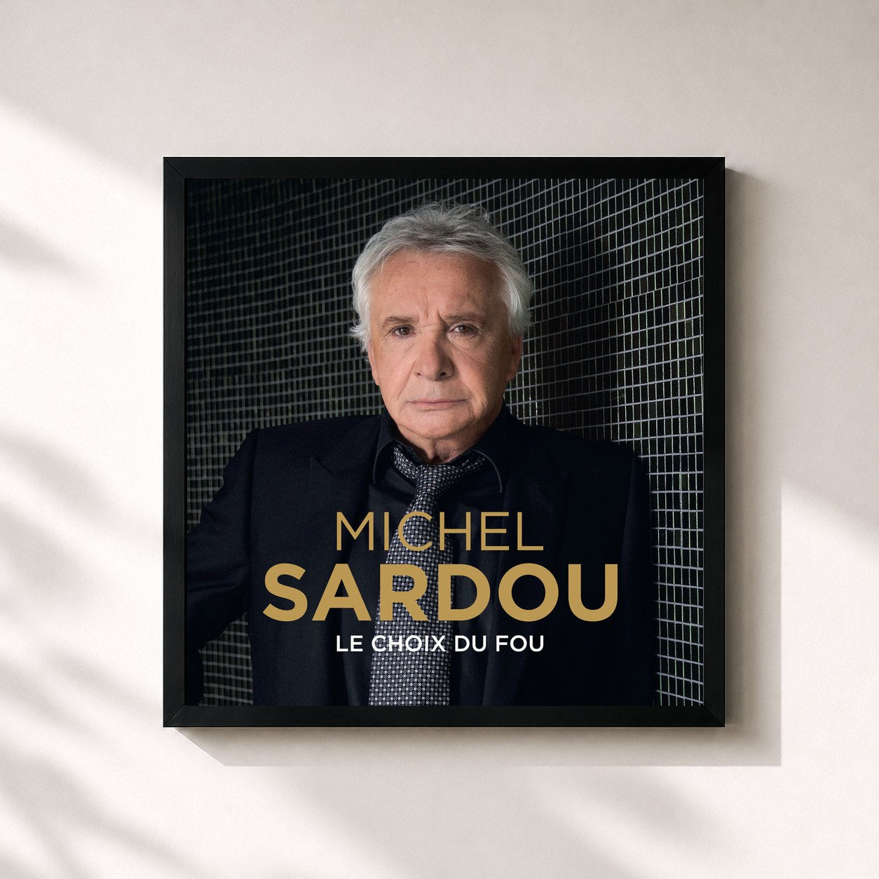Michel Sardou · Le choix du fou