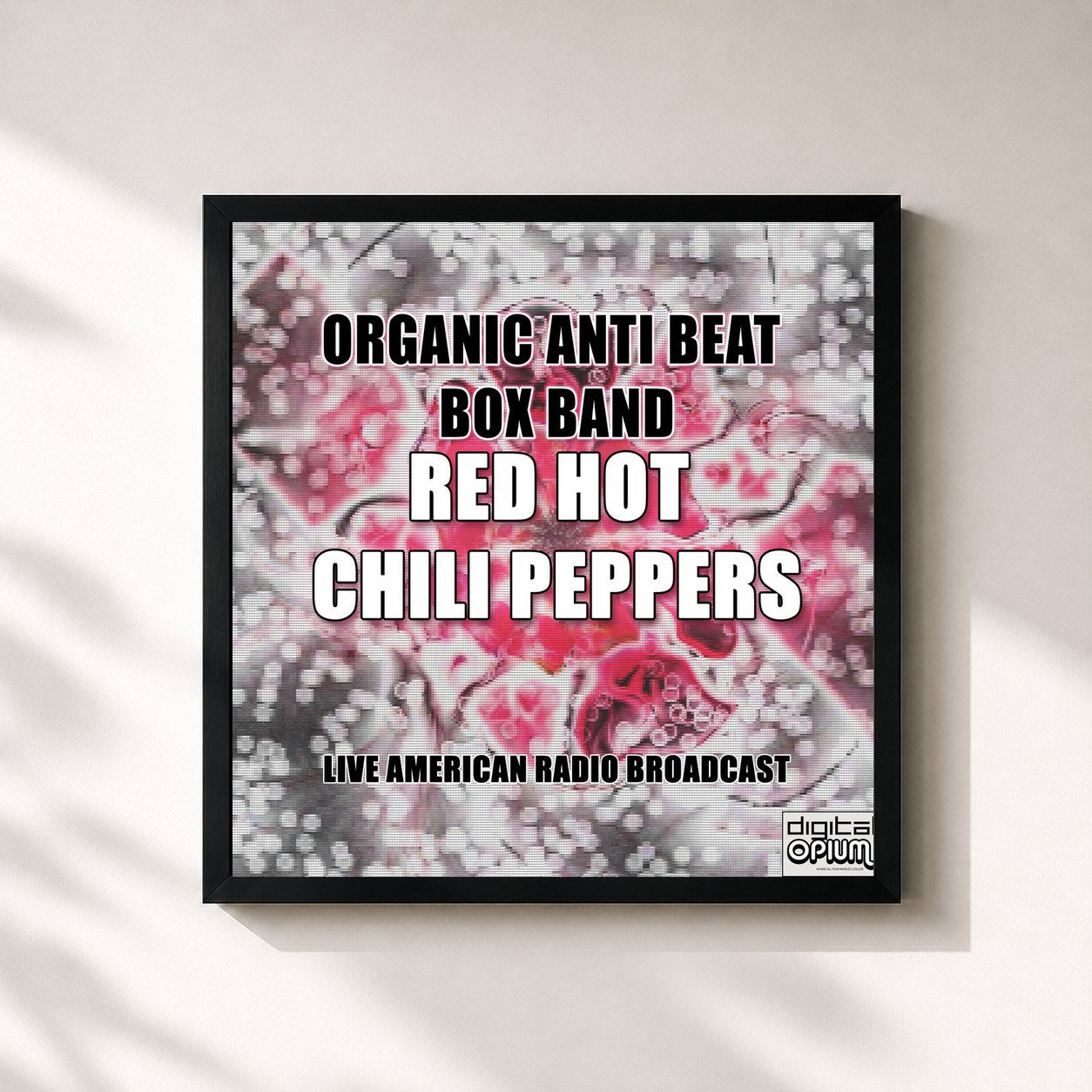 Red Hot Chili Peppers · Organic Anti Beat Box Band (Live)