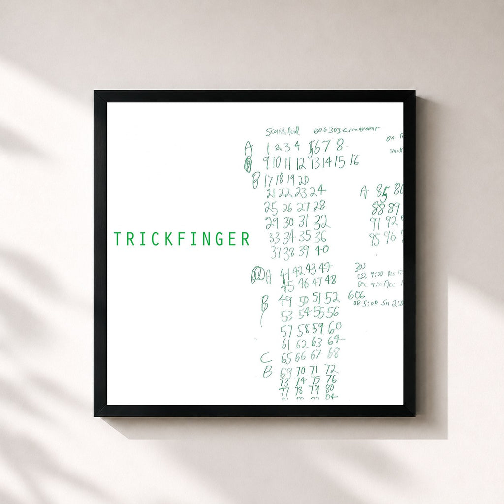 John Frusciante · Trickfinger