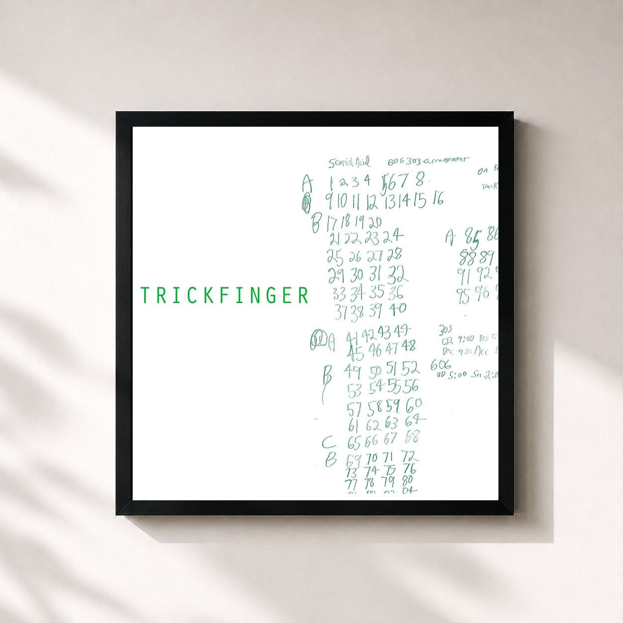 John Frusciante · Trickfinger