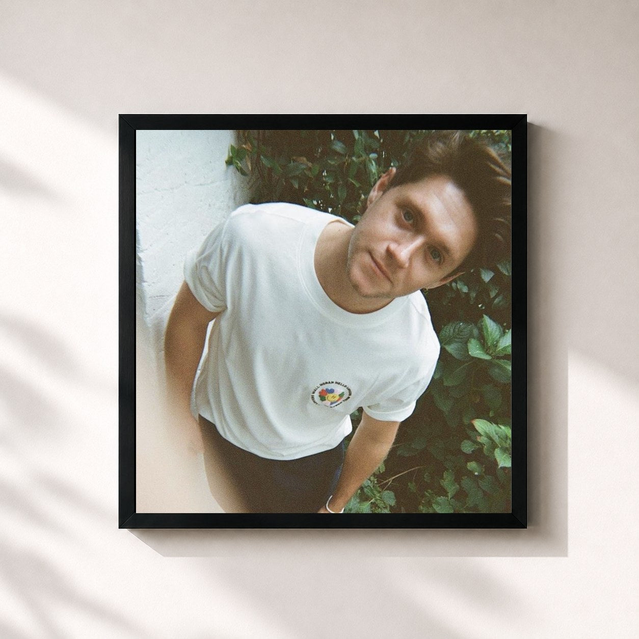 Niall Horan · Hidden Gems