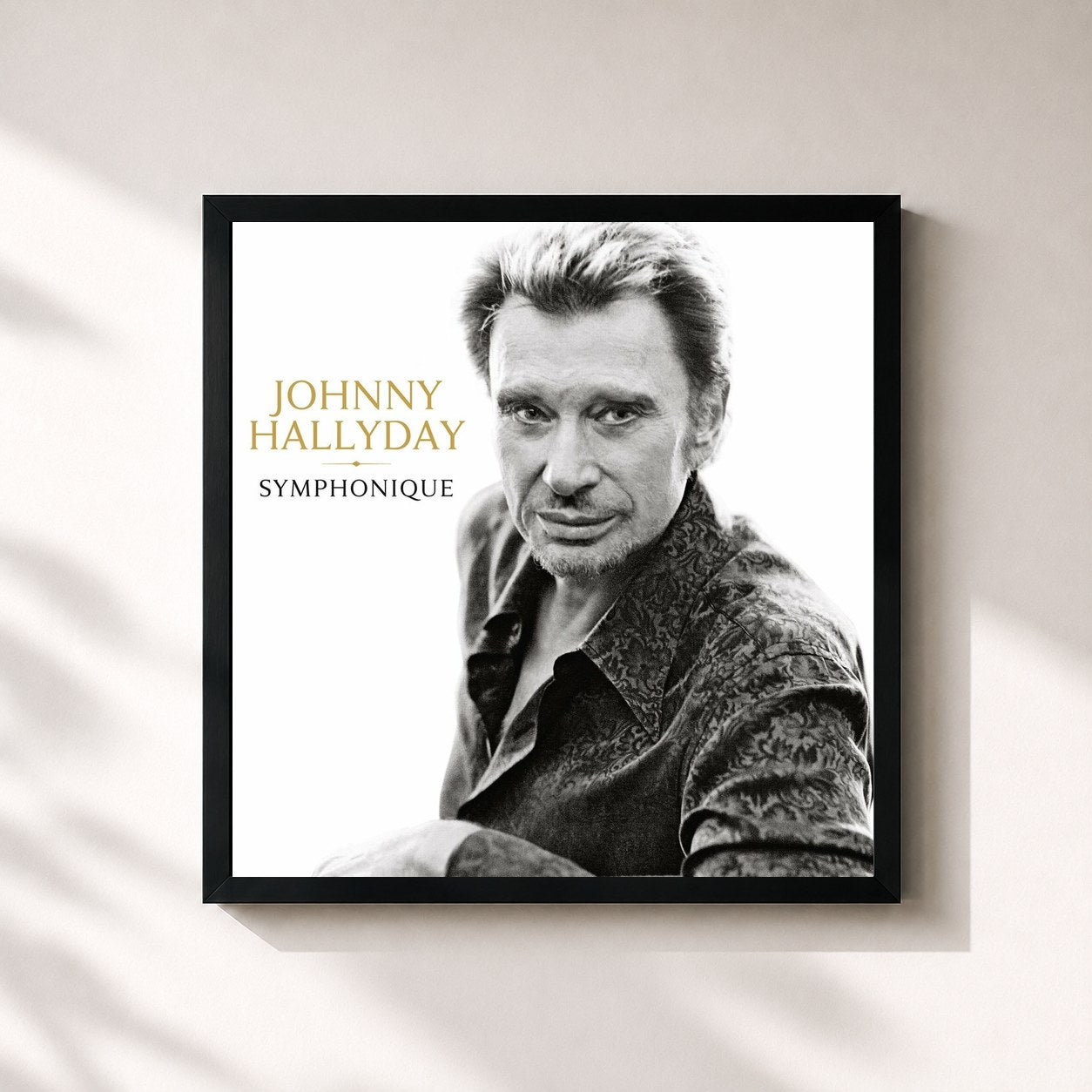 Johnny Hallyday · Johnny Hallyday Symphonique