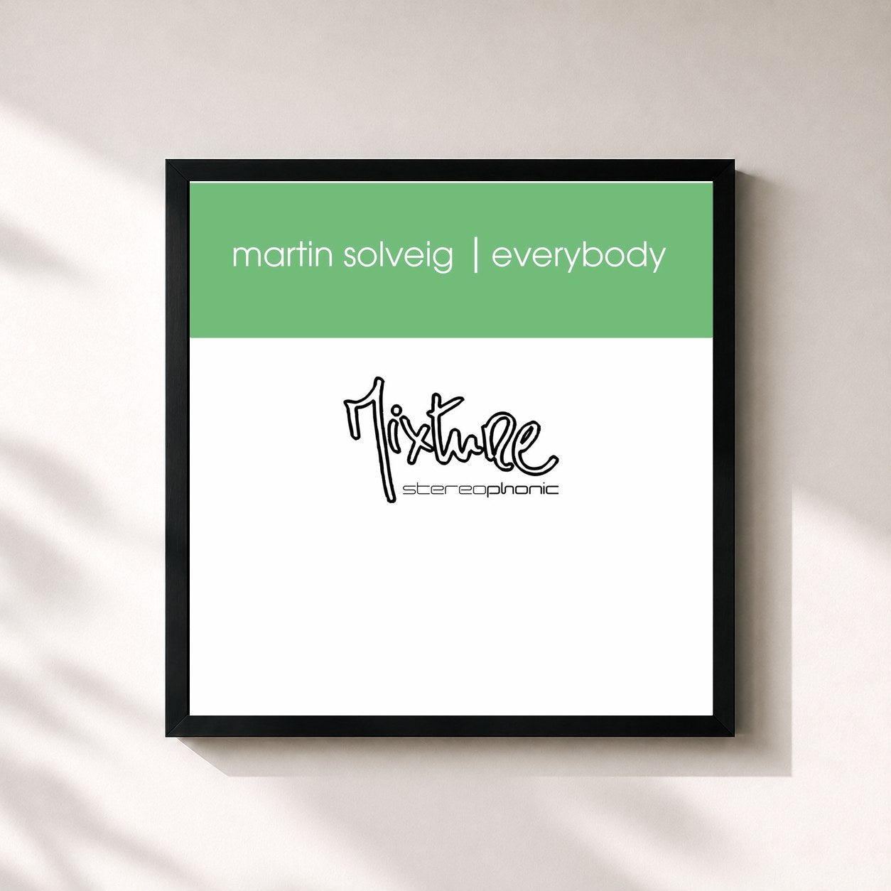 Martin Solveig · Everybody